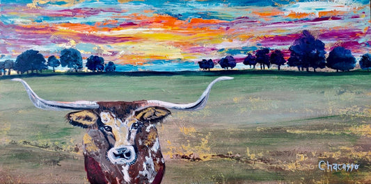 Sunset LongHorn